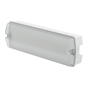 Fire Exit Light